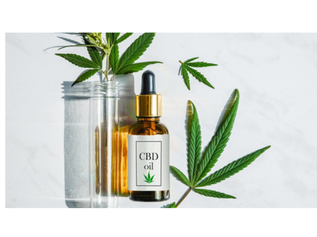 The Future of Organic CBD in Canada: Trends and Predictions