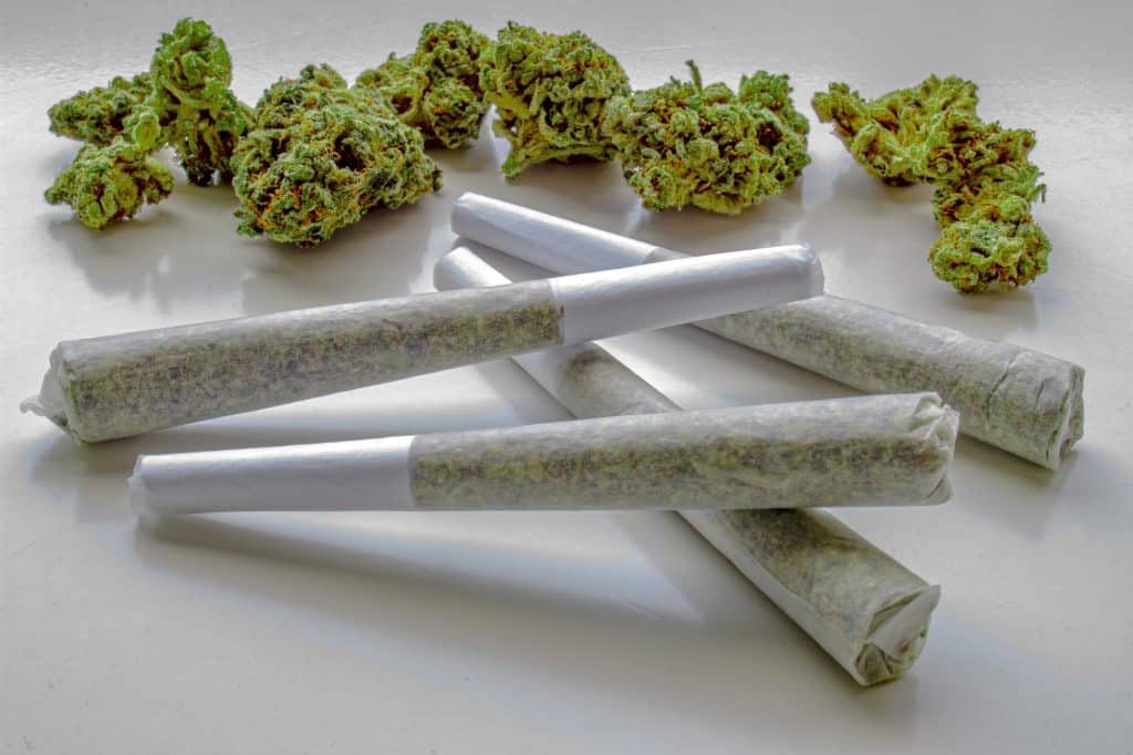 Top THCA Pre-Rolls for Chronic Pain That Provide Lasting Relief